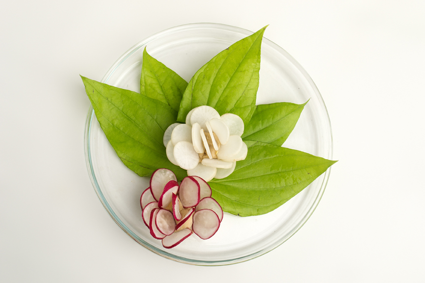 Thai flower 3