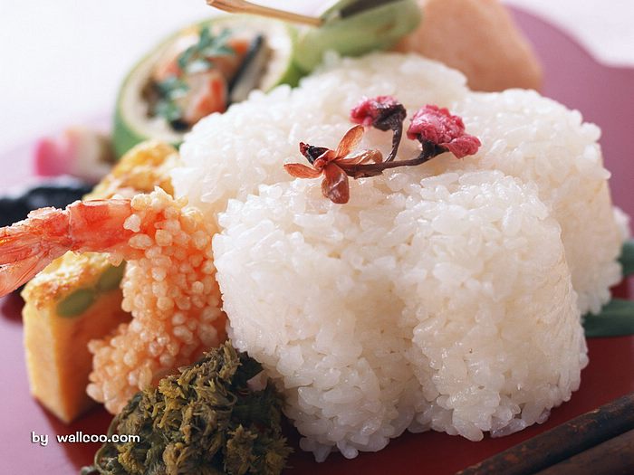 Japanese food {8}