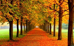 LATEST UPLOADS..SEPTEMBER 2016