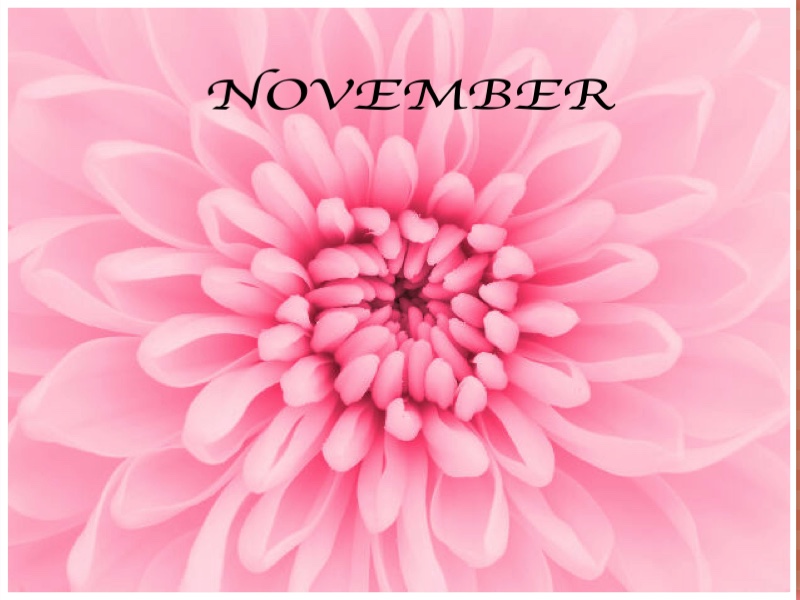 LATEST UPLOADS..NOVEMBER 2016