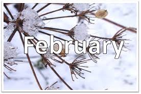 LATEST UPLOADS...FEBRUARY 2017